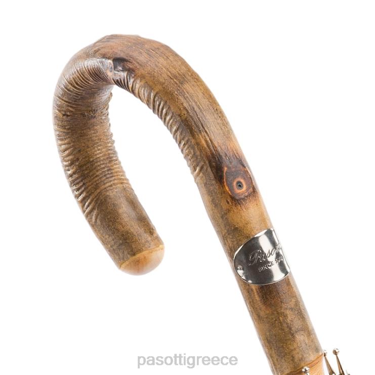 ομπρέλα | PASOTTI 476 1084-5 f - ομπρέλα στάχτης συμπαγούς ράβδου με άκρο πόμολο 2N6B8150 άνδρες